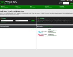 VirtualRealCash
